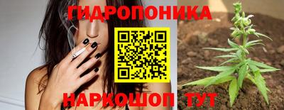 молекула духа Ачхой-Мартан