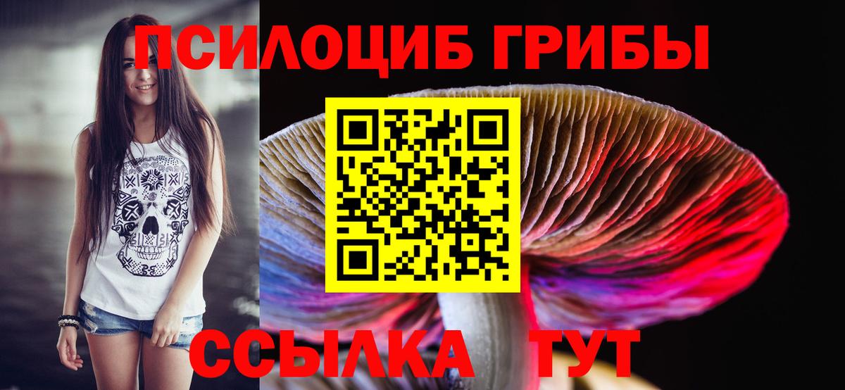 Псилоцибиновые грибы Psilocybine cubensis Пугачёв