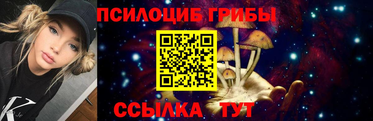 Псилоцибиновые грибы Psilocybine cubensis  Вход с VPN  Псилоцибиновые грибы MAGIC MUSHROOMS  Пугачёв 